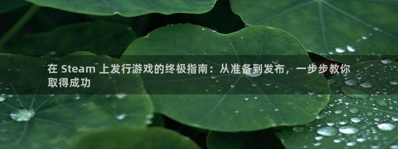 新航娱乐的创始人简介是谁：在 Steam 上发行游戏的终极指南：从准备到发布，一步步教你
取得成功